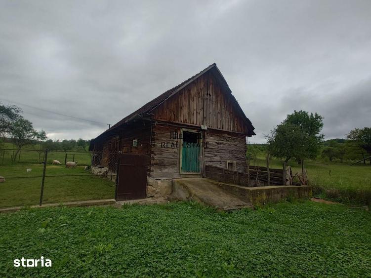 Casă cu 4 camere cu Teren 2651 Mp în Baia de Criș