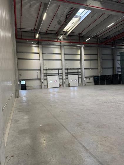 Hală suprafețe disponibile 1.000-40.000mp - 9