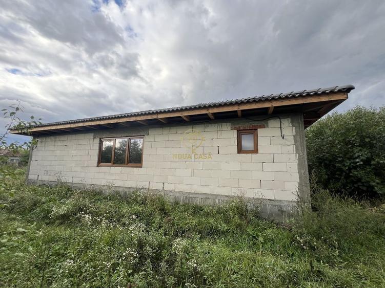 Casă cu 3 camere cu Teren 3800 Mp în Peleș