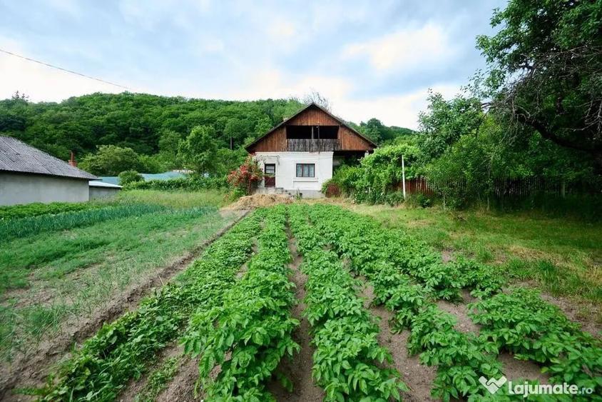 Casa cu teren generos - 4696 mp Apa Sarata - Campulung !! - 14