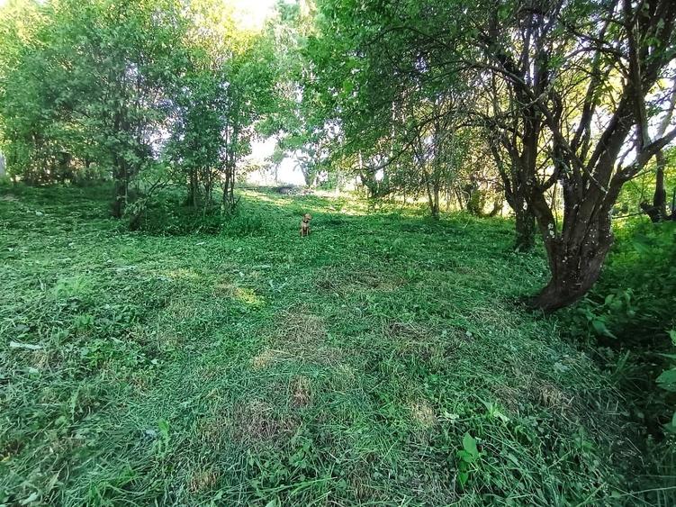 Teren Construcții intravilan de 1340 mp, în Feleacu