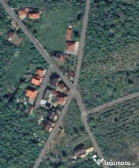 Teren de 4000 mp, în Tăuții-Măgherăuș