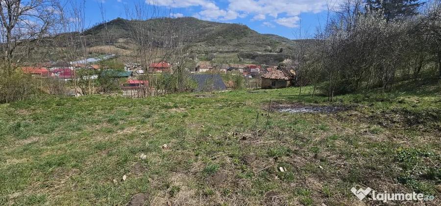 Verme? - Bistrita Nasaud - Teren Intravilan - 35 Ari - Pret in euro pe Ar - 5
