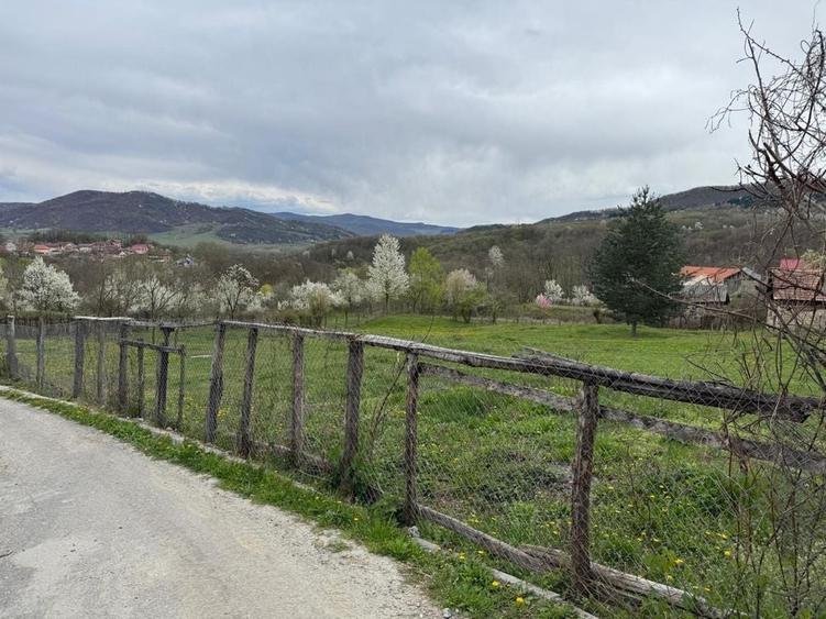 Spațiu comercial, în Bujoreni