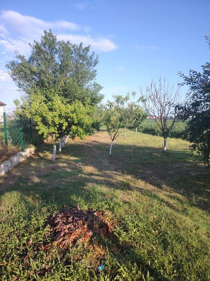 Casă de vânzare. - 3