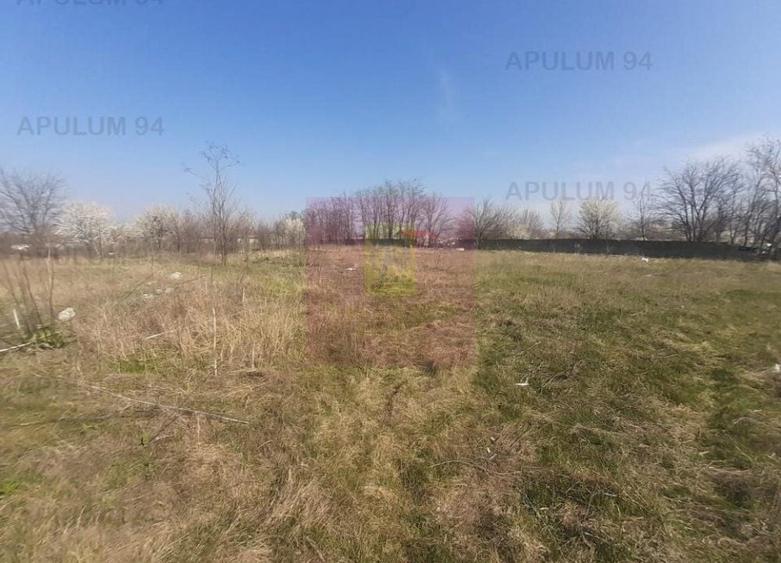 Teren Construcții intravilan de 4800 mp, în Glina