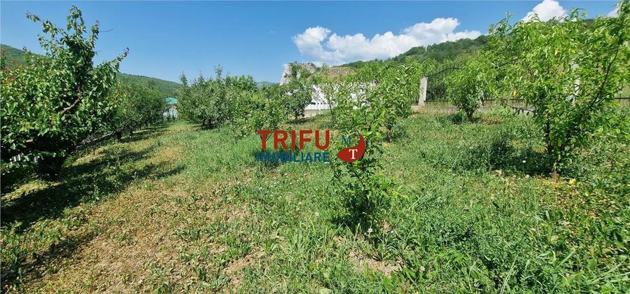 Teren Construcții intravilan de 582 mp, în Ampoița