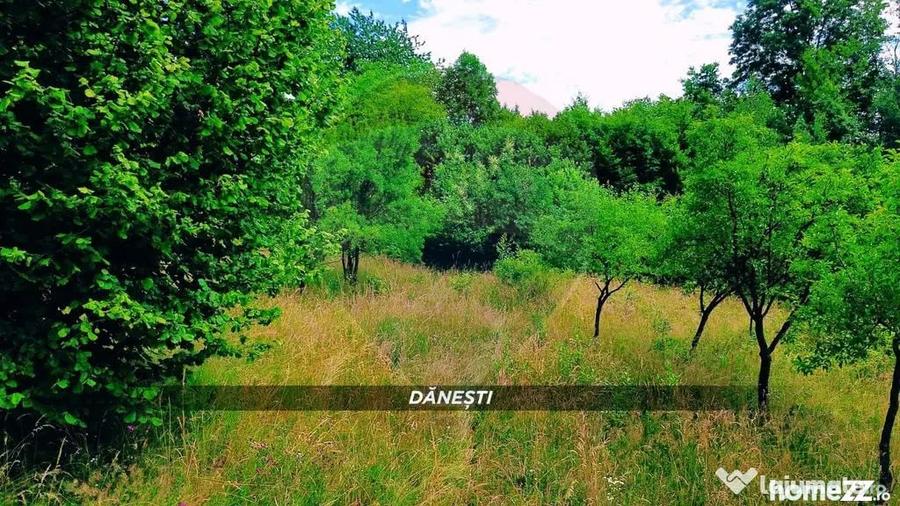 Teren în Dănești