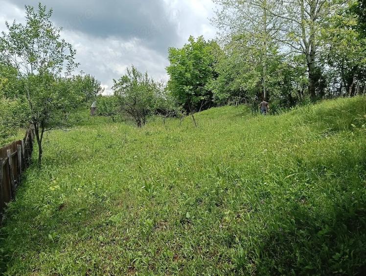 Teren de 1584 mp, în Talea