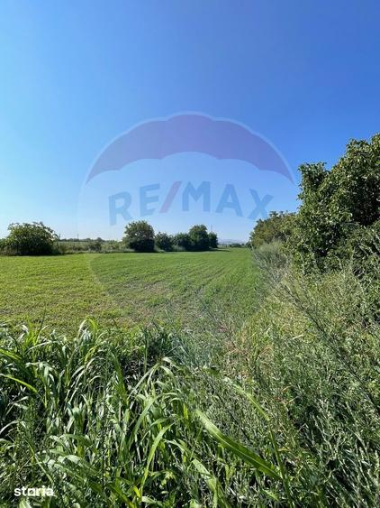 Teren de 4370 mp, în Central