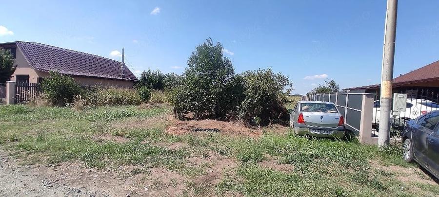 Spațiu comercial, în Amara