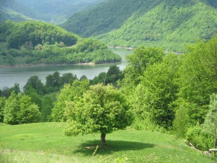 Teren de 700 mp, în Gura Siriului
