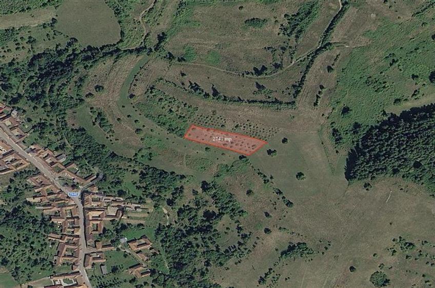 Teren intravilan de 109310 mp, în Cărpinet