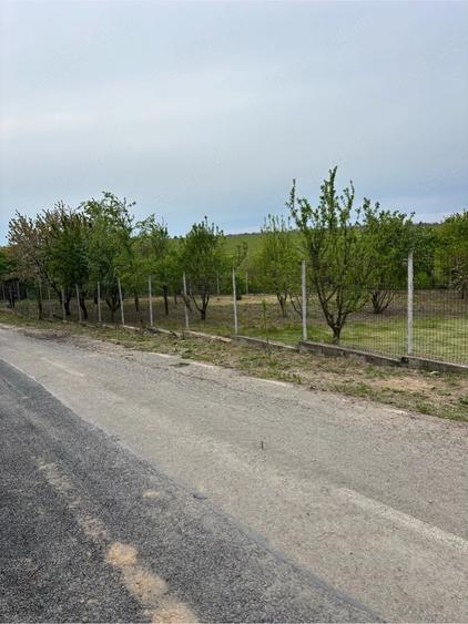 Teren de 570 mp, în Petrăchioaia