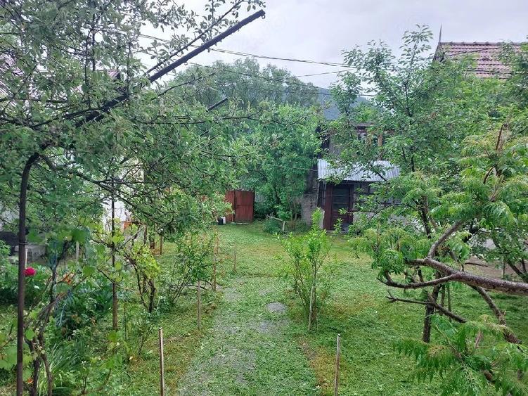 Casă cu Teren 1000 Mp în Lepșa
