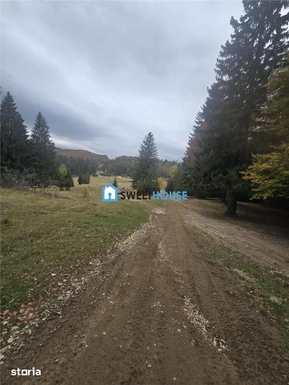 Teren de 1000 mp, în Central