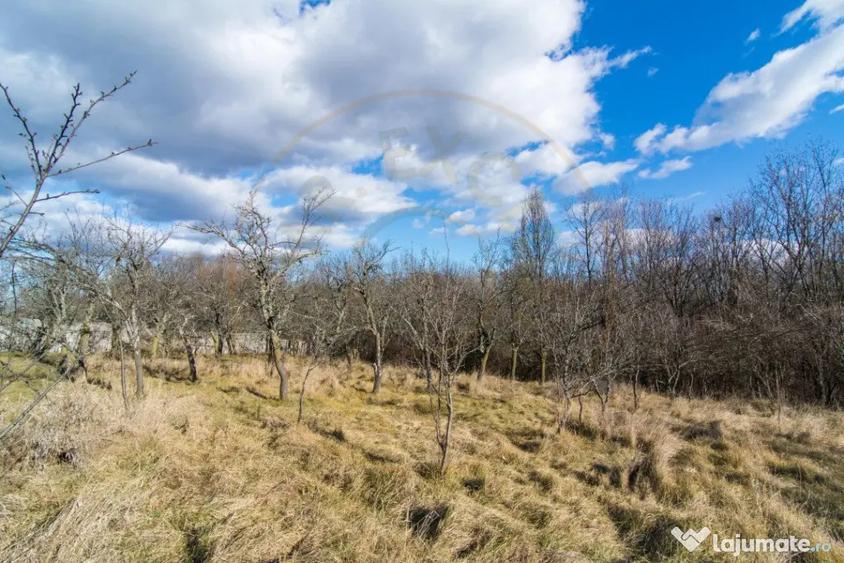 Casă cu 3 camere cu Teren 4145 Mp în Vedea