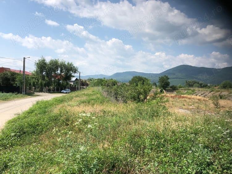 Teren de 5470 mp, în Ciritei