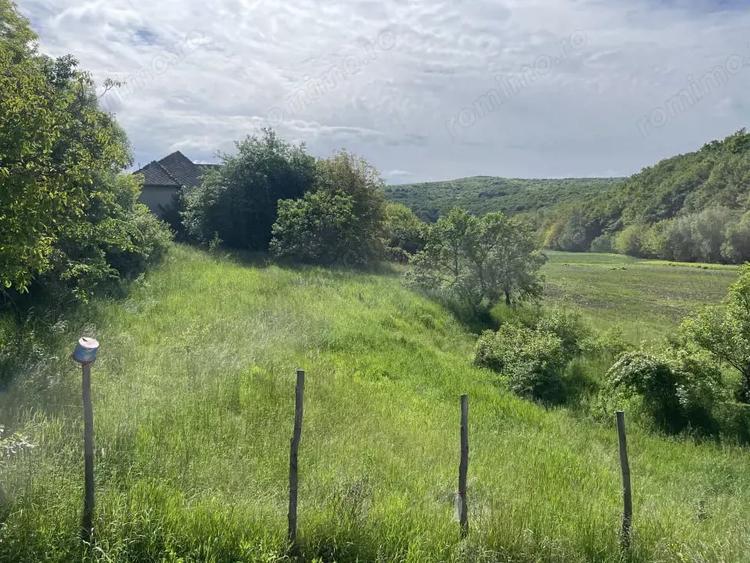 Teren de 3027 mp, în Central