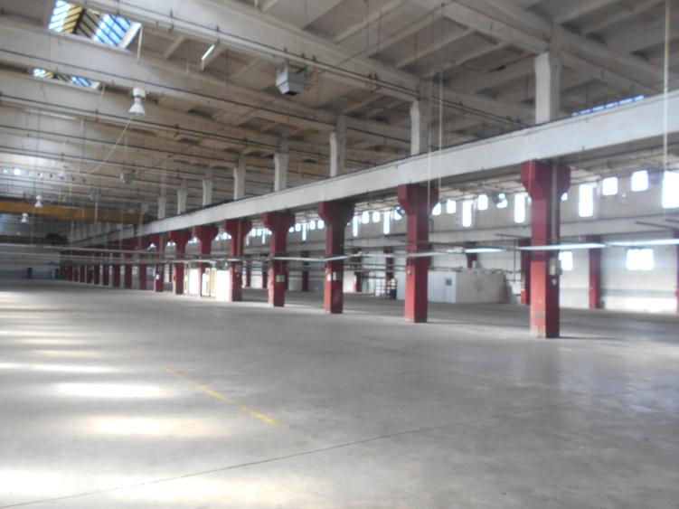 Spațiu industrial, de 7,000 mp, în Lugoj