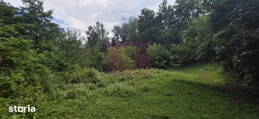 Teren de 15000 mp, în Telega