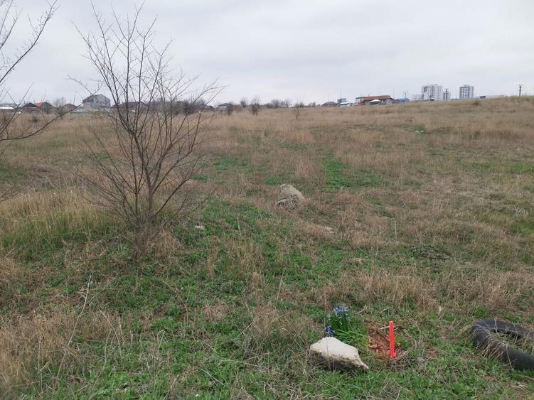 Teren Construcții intravilan de 306 mp, în Palazu Mare