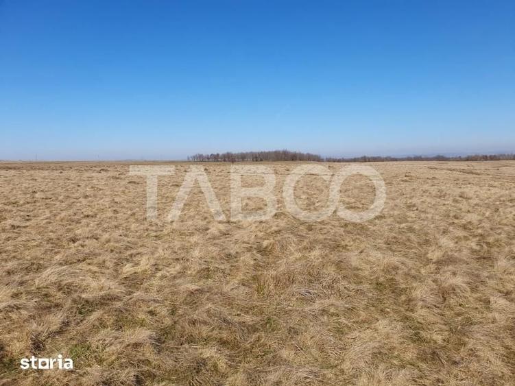 Teren de 600 mp, în Recea