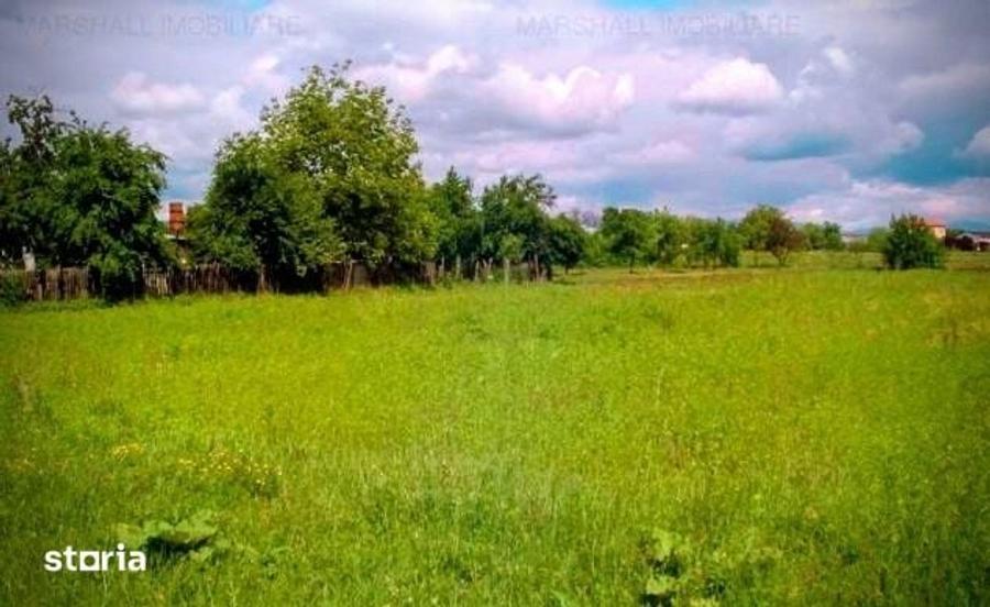 Teren de 4000 mp, în Petrești