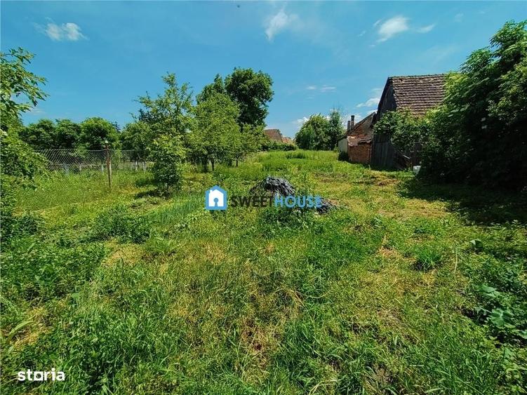 Casă cu 3 camere în Central