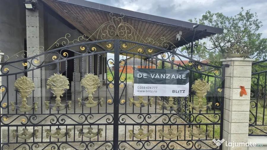 Casă cu 3 camere cu Teren 2918 Mp în Vetiș