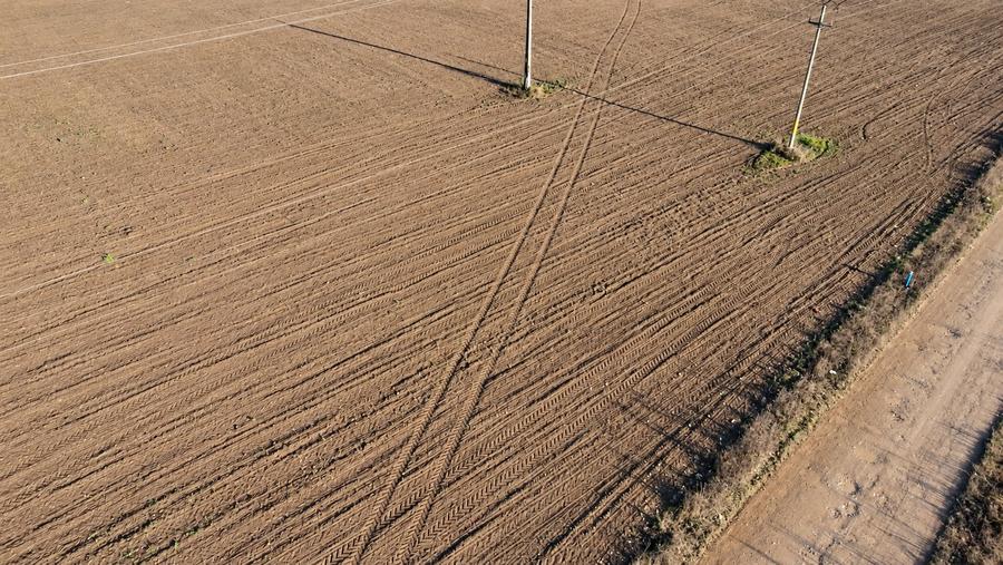 Teren intravilan de 3600 mp, în Dumbrava Roșie