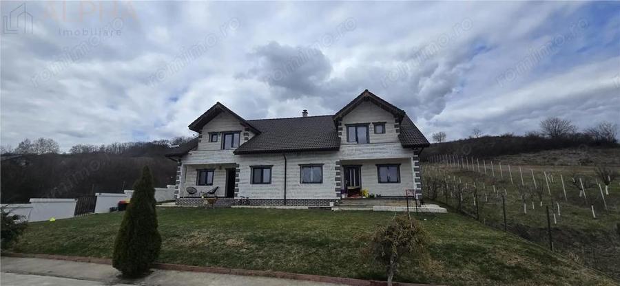 Casă cu Teren 1450 Mp în Viișoara