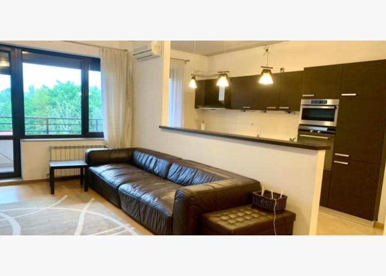 Apartament cu 2 camere semidecomandat, mobilat în Băneasa — fotografia 1