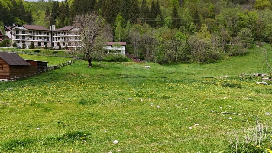 Teren Construcții intravilan de 10000 mp, în Sătic