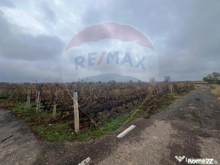Teren de 2727 mp, în Cârligele