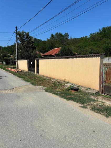 Spațiu comercial, în Dragodana