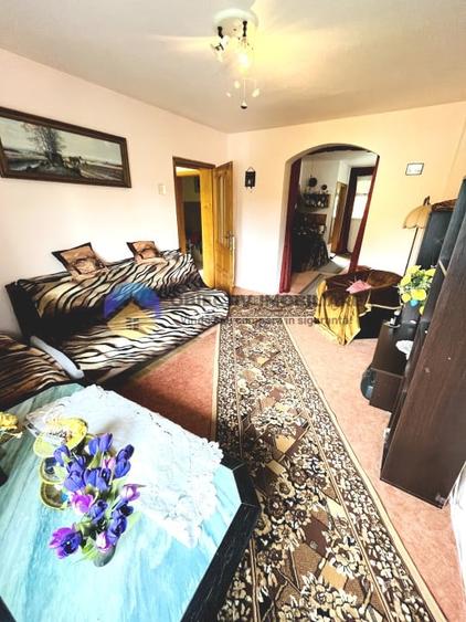 Casă cu 7 camere cu Teren 1079 Mp în Viișoara