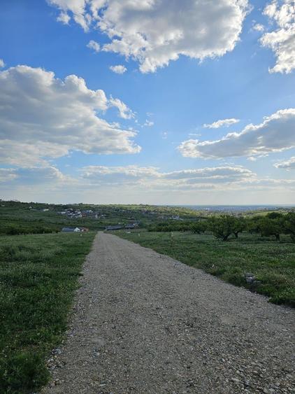 Teren intravilan de 850 mp, în Săldăbagiu de Munte