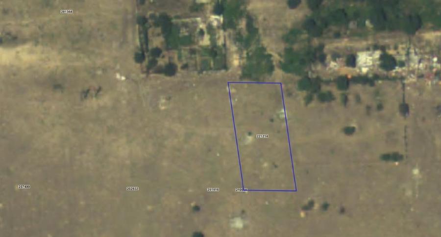 Teren Construcții intravilan de 1203 mp, în Palas