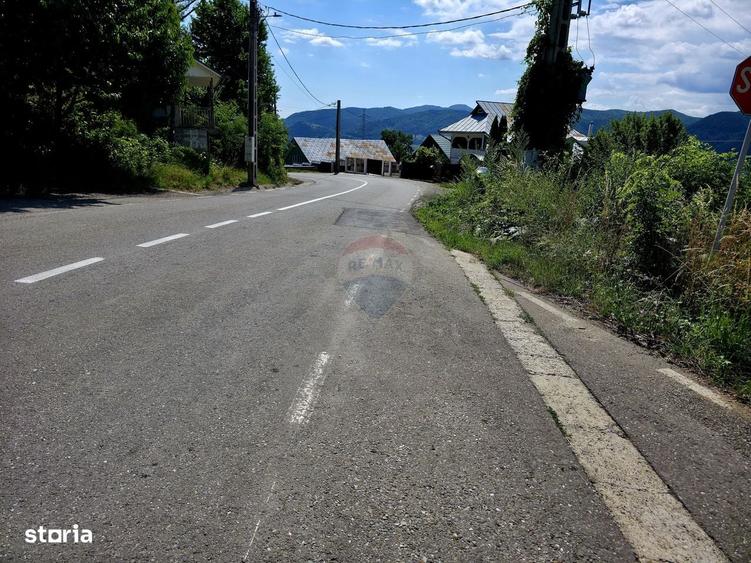 Spațiu comercial, în Viișoara