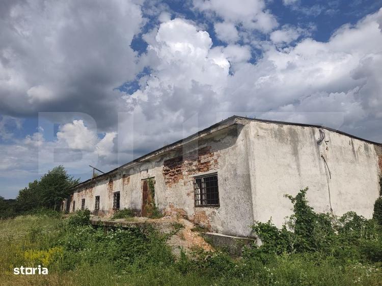 Spațiu comercial, în Mogoșești
