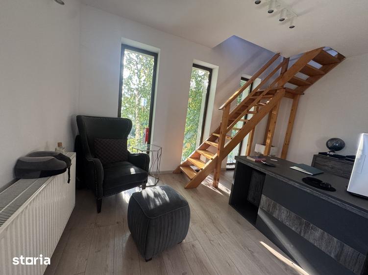 Inchiriere vila pentru birouri - 5