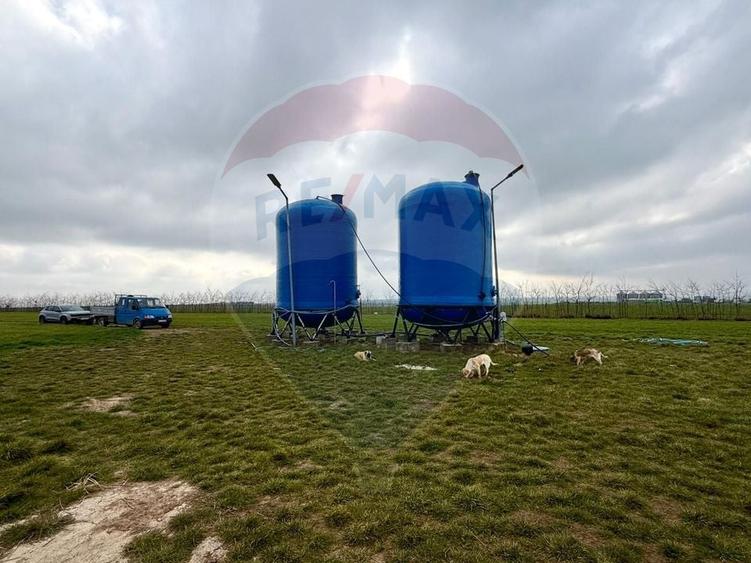Teren de vanzare in Săcele ideal pentru silozuri, fermă 6 ha - 3