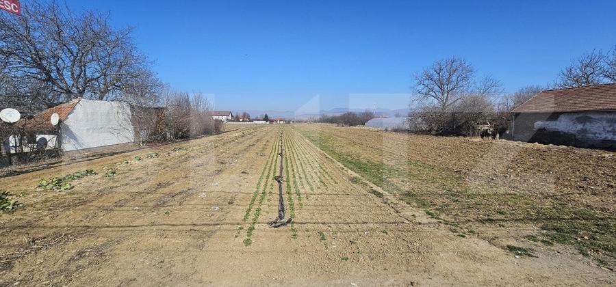 Teren Construcții intravilan de 4550 mp, în Sântuhalm