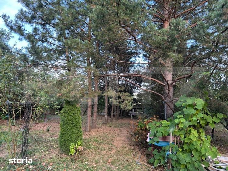 Casa de vanzare-6000mp teren - 8