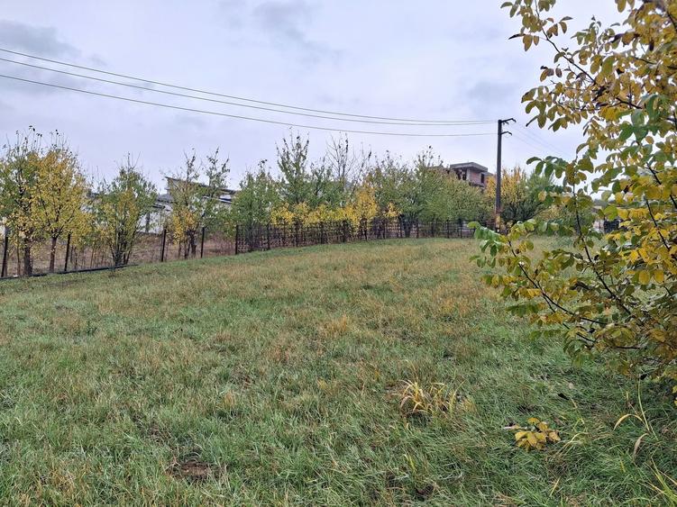 Teren de 600 mp, în Rediu