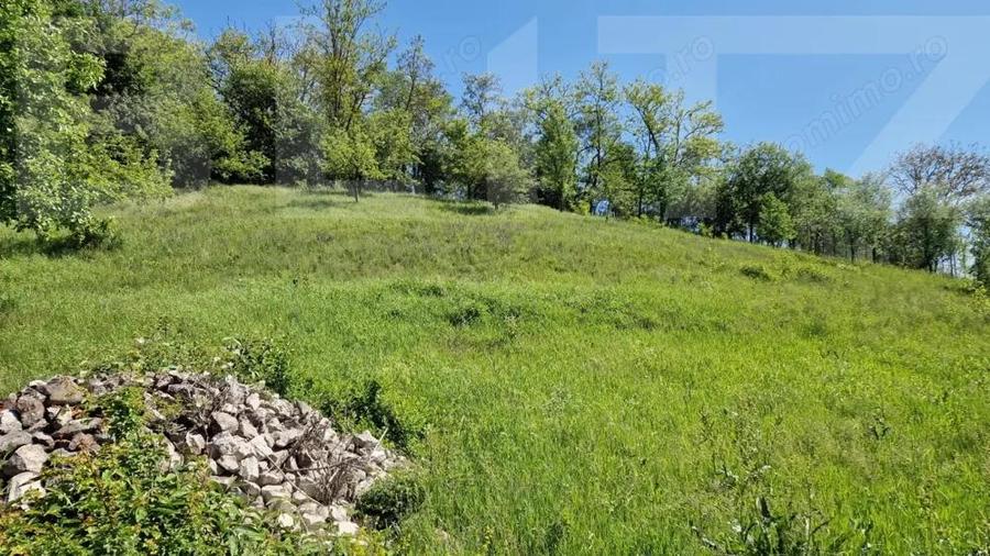 Casă cu 4 camere cu Teren 3166 Mp în Bejan