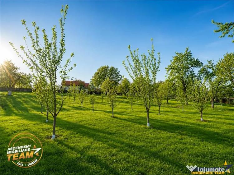 Casă cu 2 camere cu Teren 4963 Mp în Dalnic