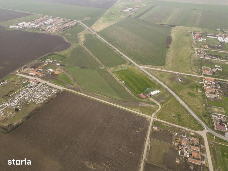 Teren 76.000mp intre Santana ?i Caporal Alexa - 2