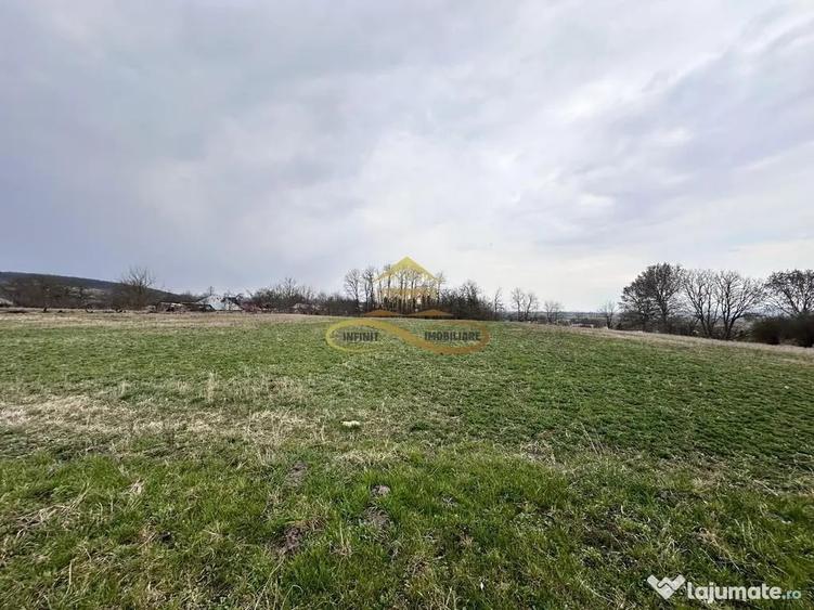 Teren în Blăgești
